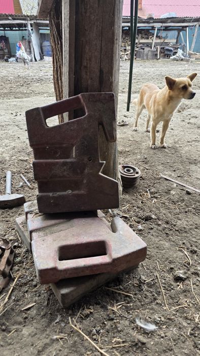 Greutati fata tractor FIAT piese u650