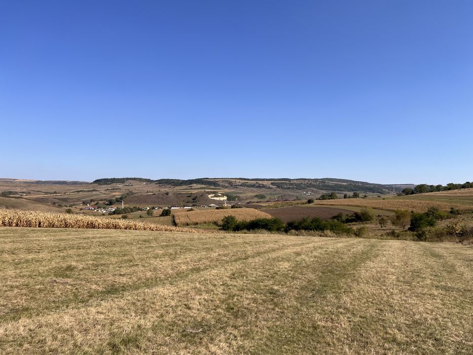 Teren de vanzare la 7 km de Cj, com. Baciu, sat Corușu