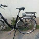 Bicicleta electrica Pegasus