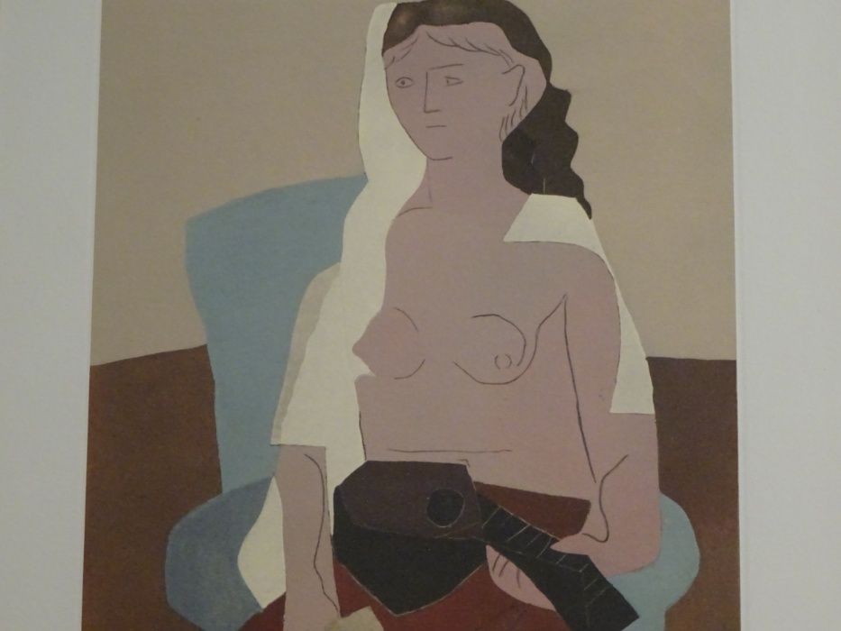 Tablou, Pablo Picasso - Cântăreața