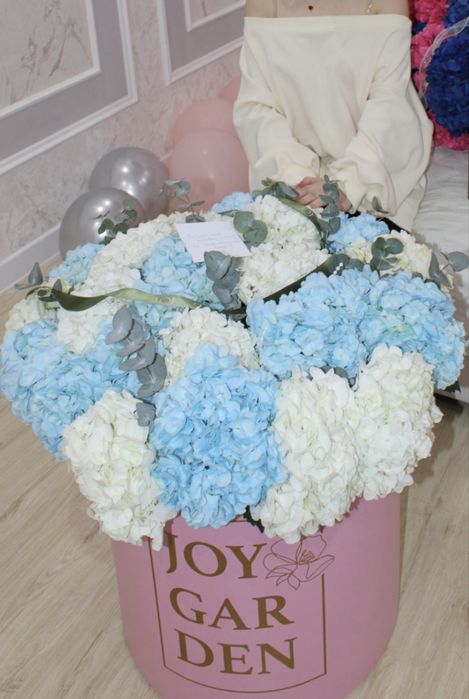 Роскошной компизиция гортензии,свежий