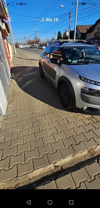 Citron c4 Cactus