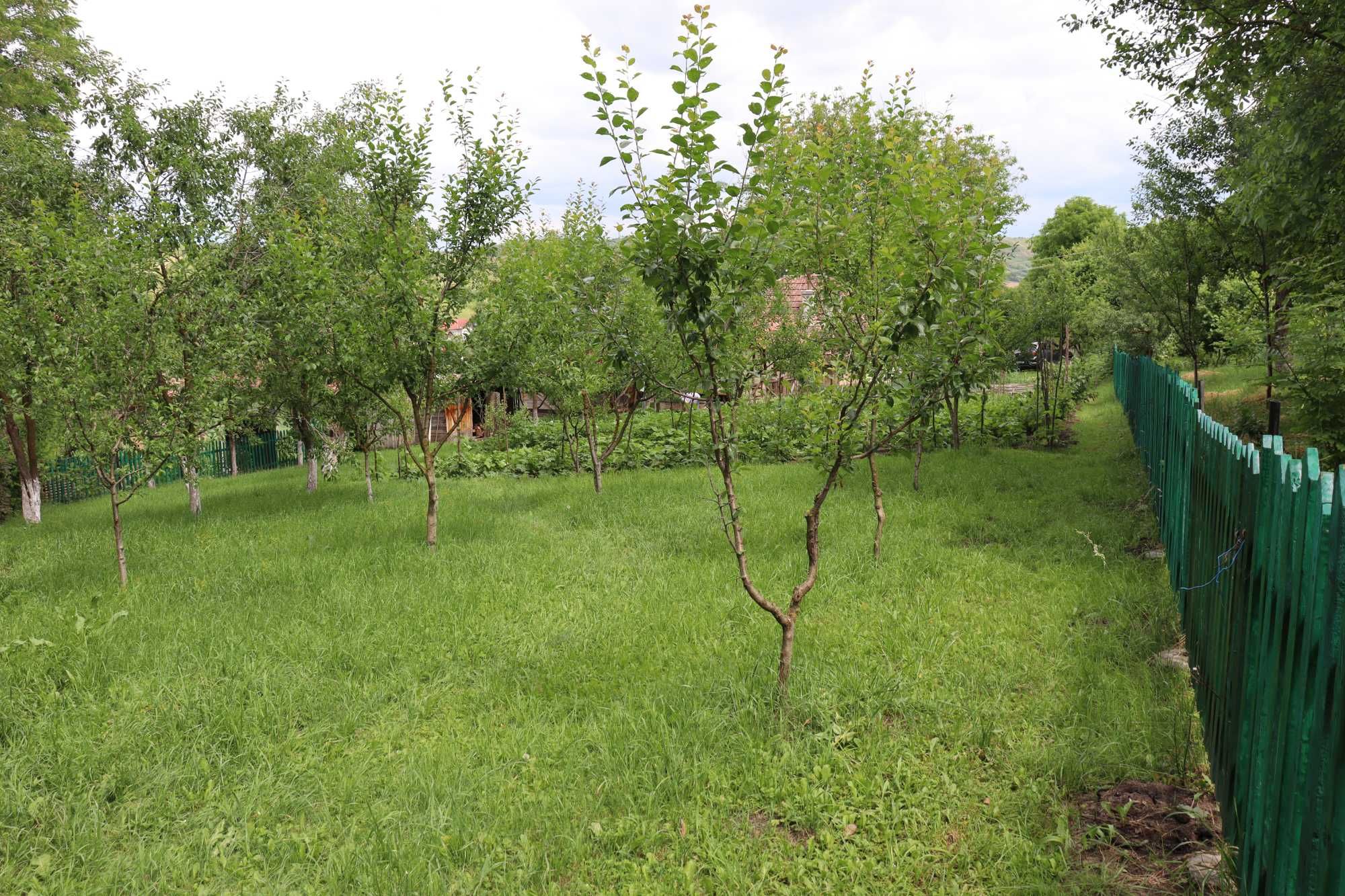 Casă la 40km de Cluj
