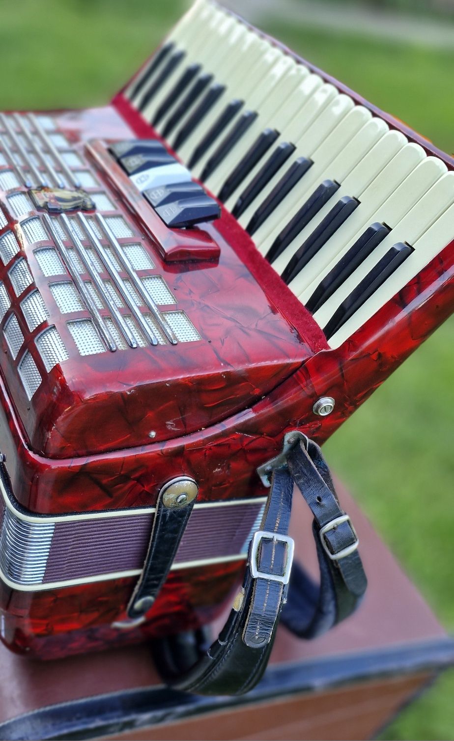 Acordeon Parrot 60 basi