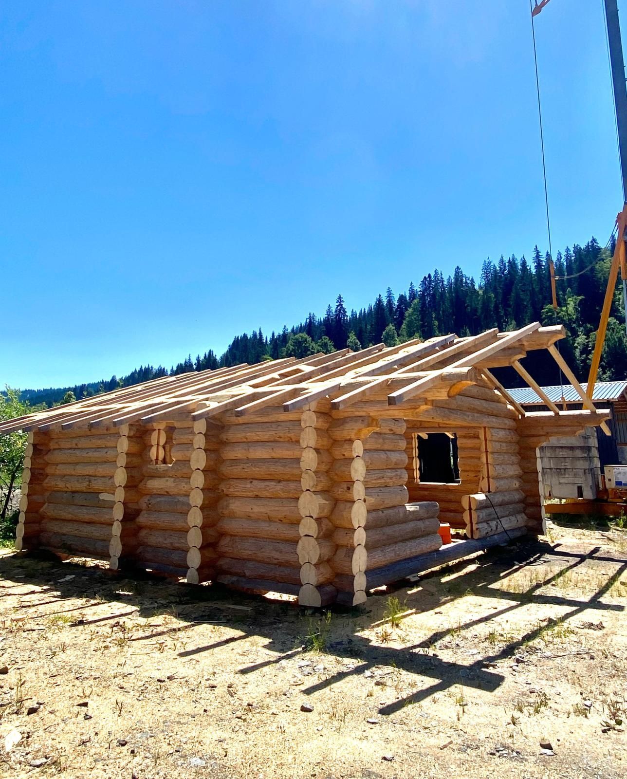 Case cabane lemn rotund (bușteni)
