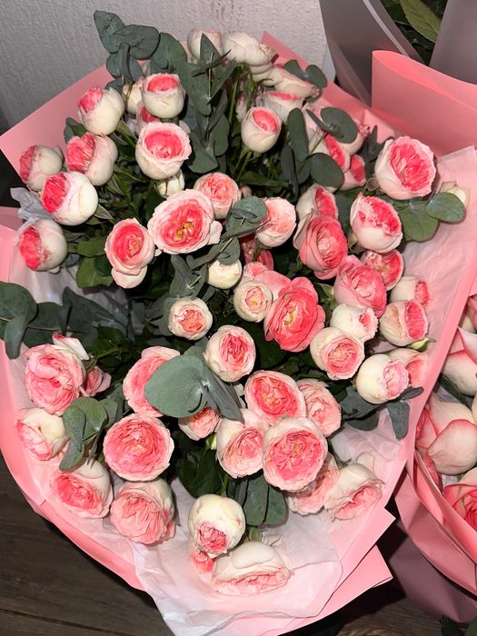 Очень красивые и нежные пионовидные розы