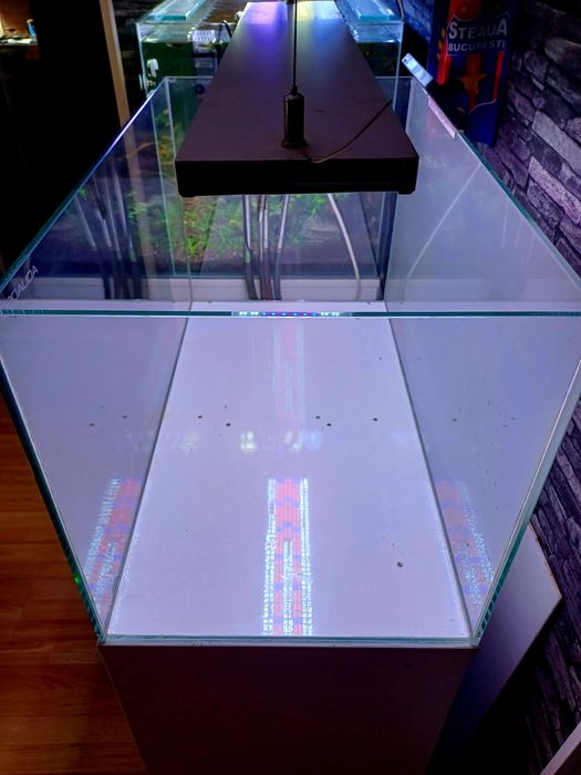 Vând ansamblu acvariu