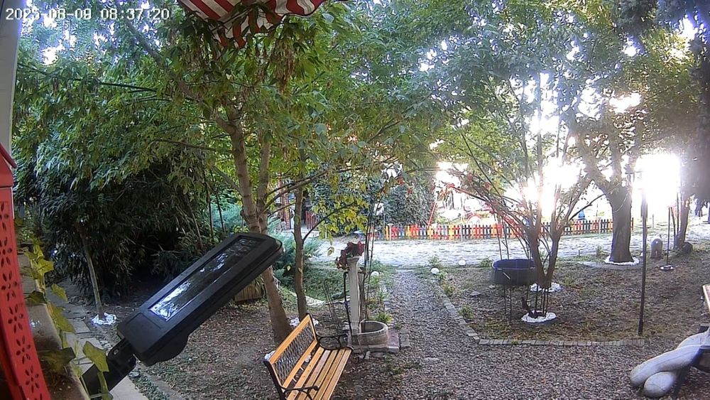 Curățenie curte,gradina,1000 m2