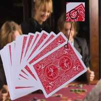 Carti de joc smecherite, semnate pe spate subtil ideale pt poker!