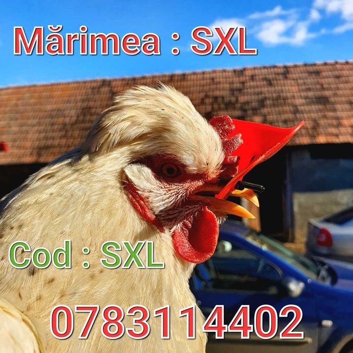 Gaini Fazani Pasari Pauni Curci Cocosi-Anti lupte-FARA AC-Ochelari-SXL