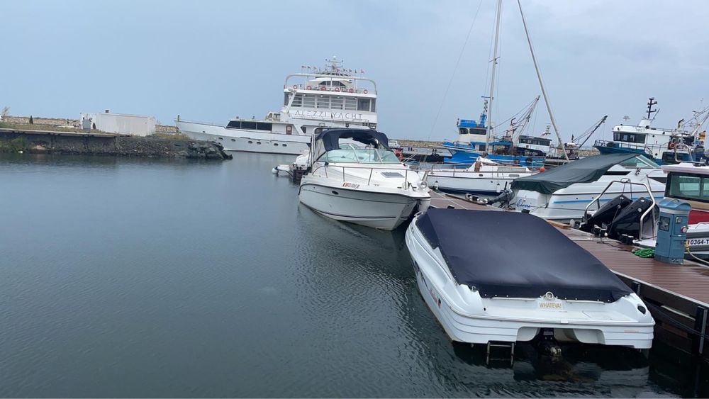 Barca inmatriculata , cu peridoc