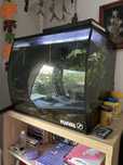 Acvariu Fluval Flex 57 litri