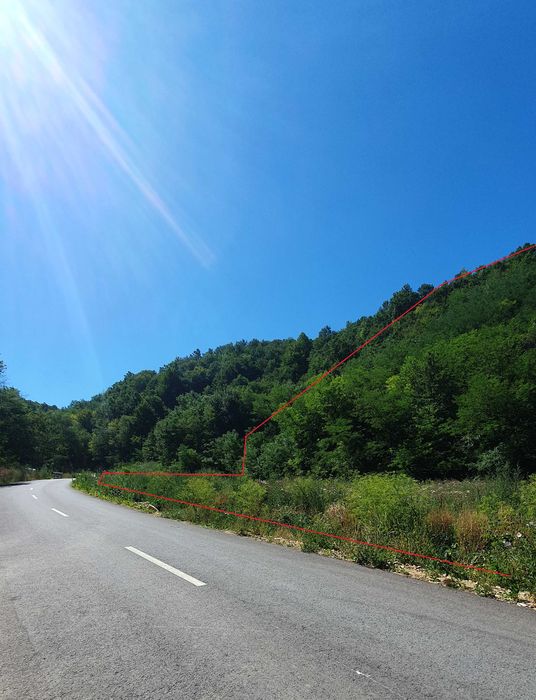 1,7 Hectare Teren Casa Vacanta Dumbravita De Codru Muntii Codru Moma