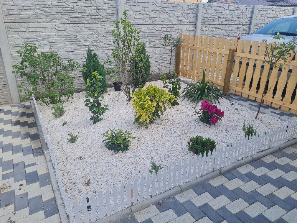 Amenajare gradina cu gazon rulou