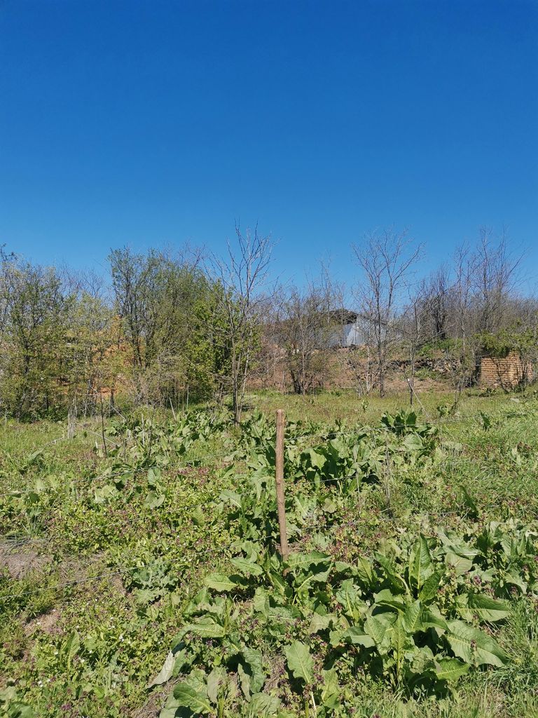 Продава се Парцел в Плевен, Сторгозия - 1375 кв.м за 3 €/кв.м - Снимка #1