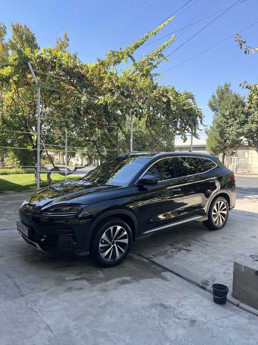 BYD Chimpiyon 23 24