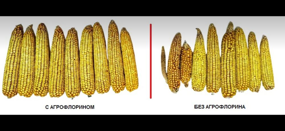 Удобрения для растений Агрофлорин