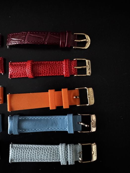 Curele ceas Cluse si Aigner