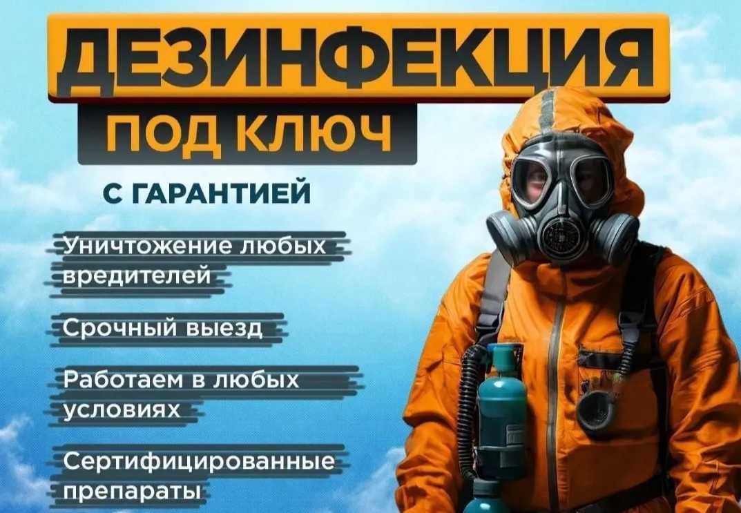 Dezinfeksiya Дезинфекция tarakan klop klapa burga chivin pashsha клоп