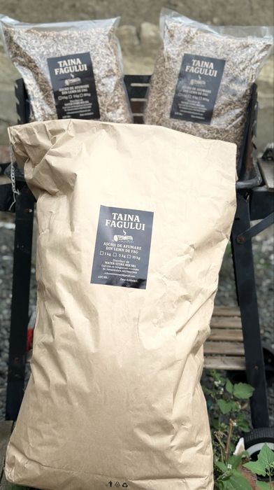 Aschii de afumare Fag