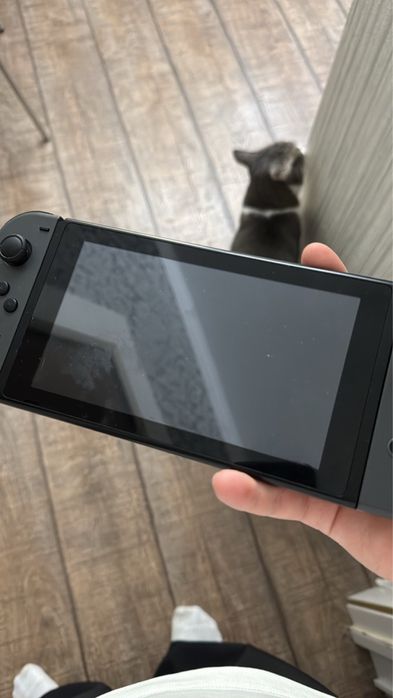 Nintendo Switch прошитый