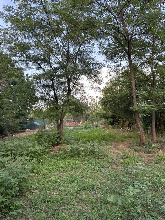 Teren Mihailesti - Novaci 3325 mp de vanzare