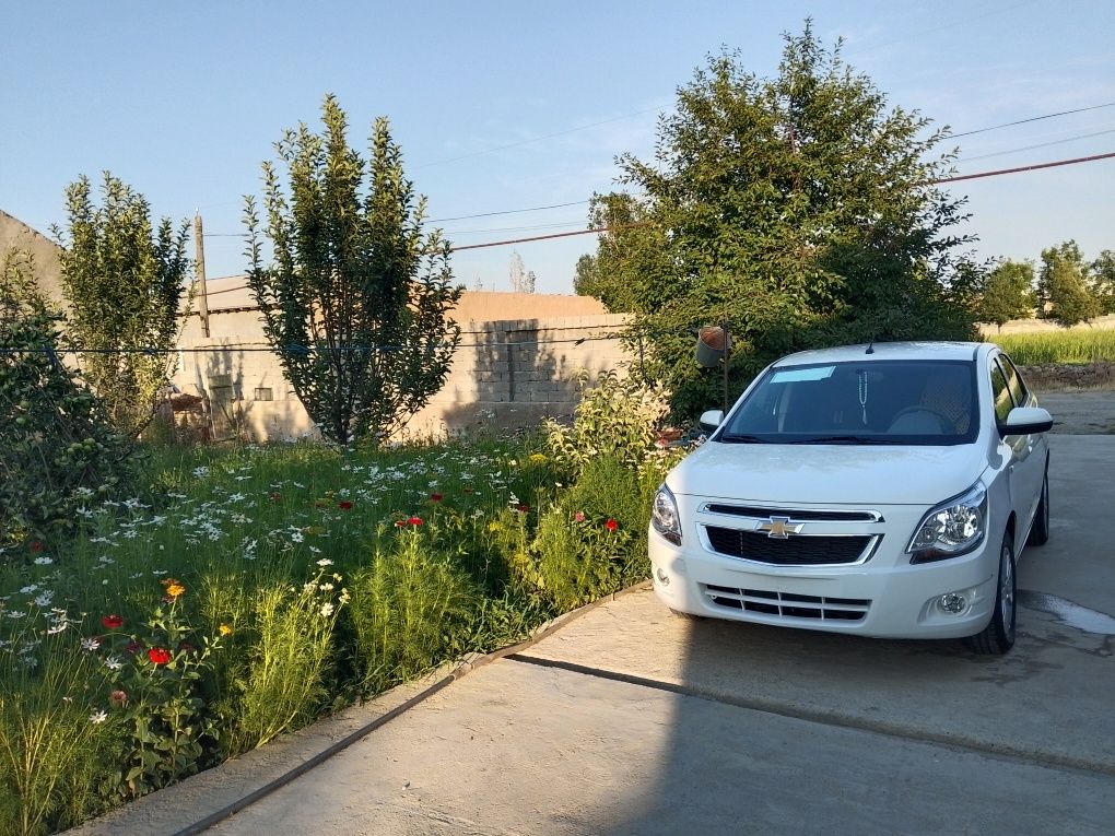 Cobalt avtomat 4 pozitsiaya