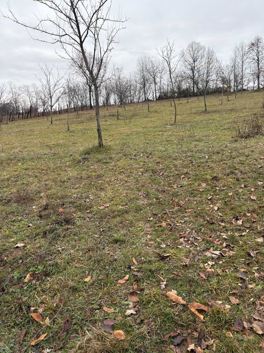 Teren Intravilan Baia de Fier