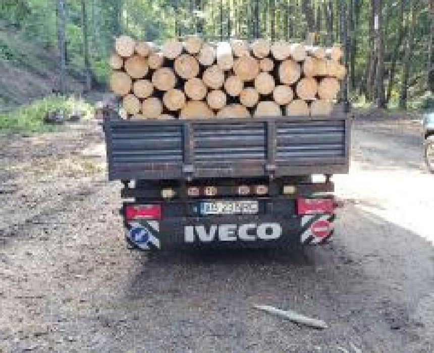 Vnând lemn de foc super ofertă transport gratuit ori unde in țară