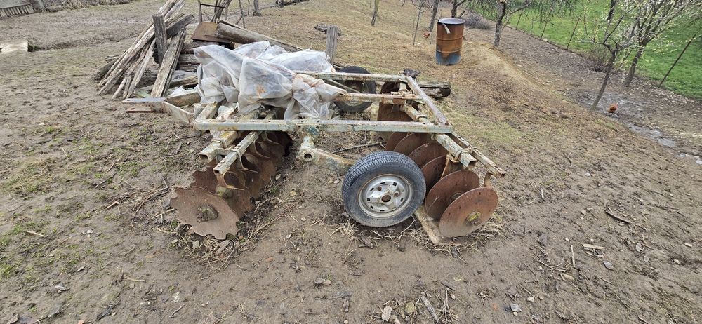 Disc 6 talere, 3 grapi