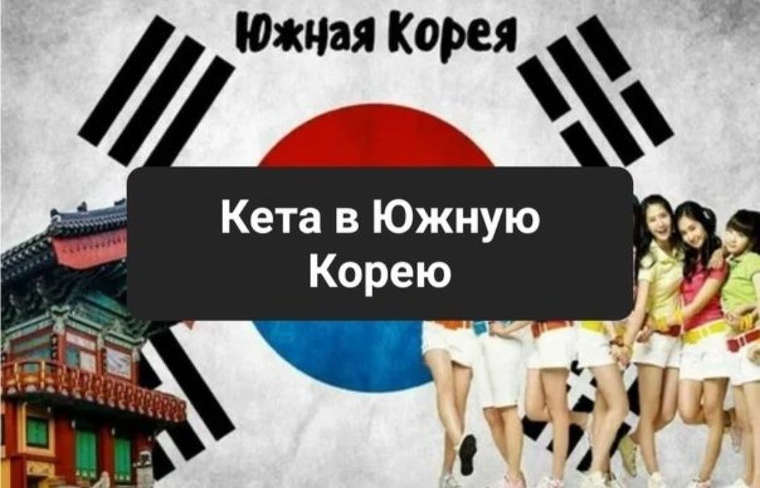 Заполняем КЕТА грамотно и без ошибок ! Вьезд в Южную Корею для гр. СНГ