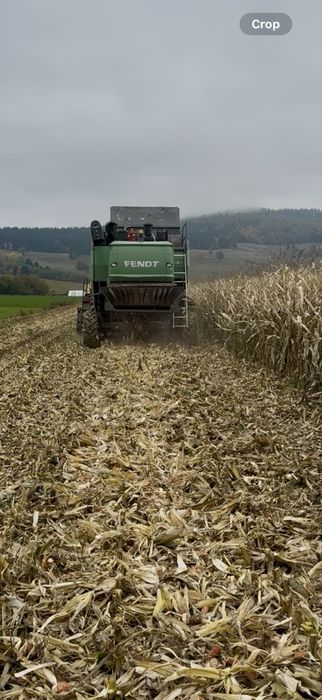 Prestari servicii agricole cu combina