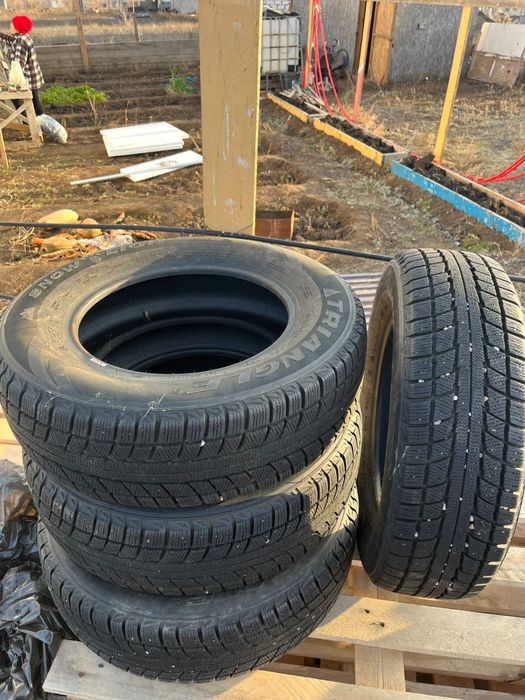 Зимняя резина Triangle  215/70/R16