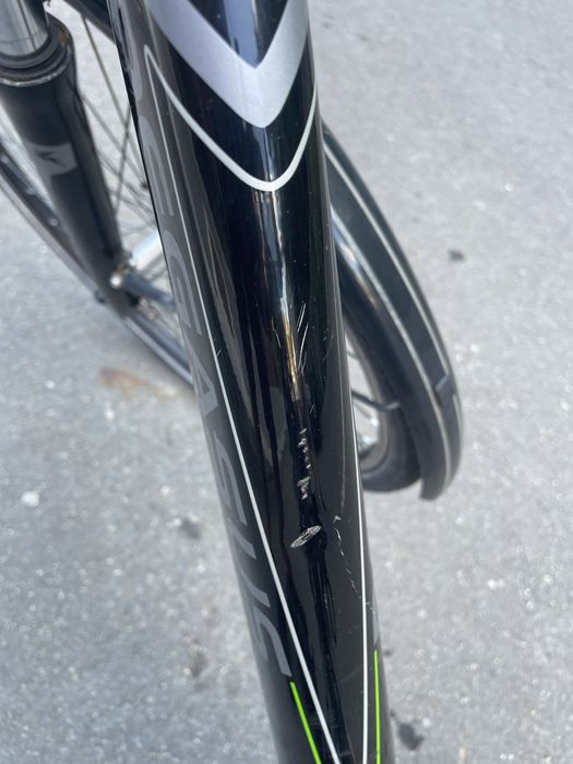 Bicicletã Electricã Pegasus