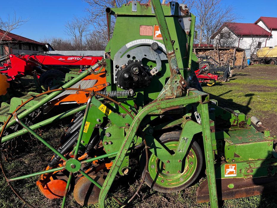 Semanatoare Amazone paioase- AD402 pe discuri