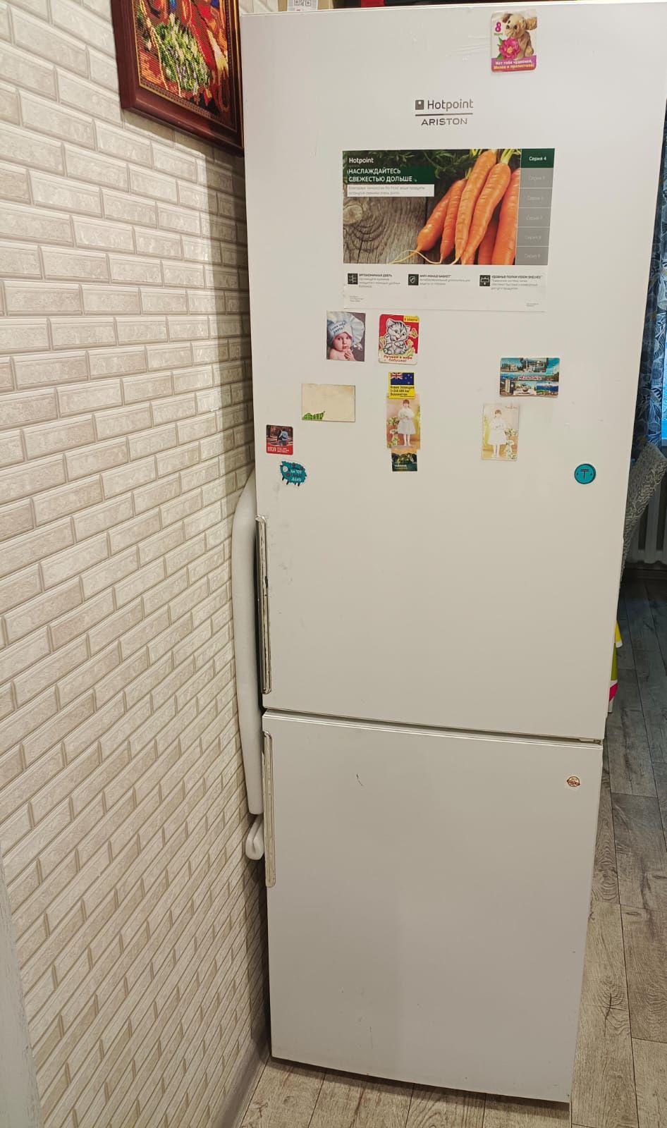 Холодильник Ariston