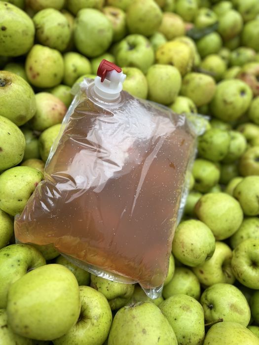 Suc de mere si mere!!