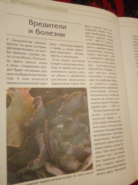 Иллюстрированные книги о разновидностях и выращивании кактусов