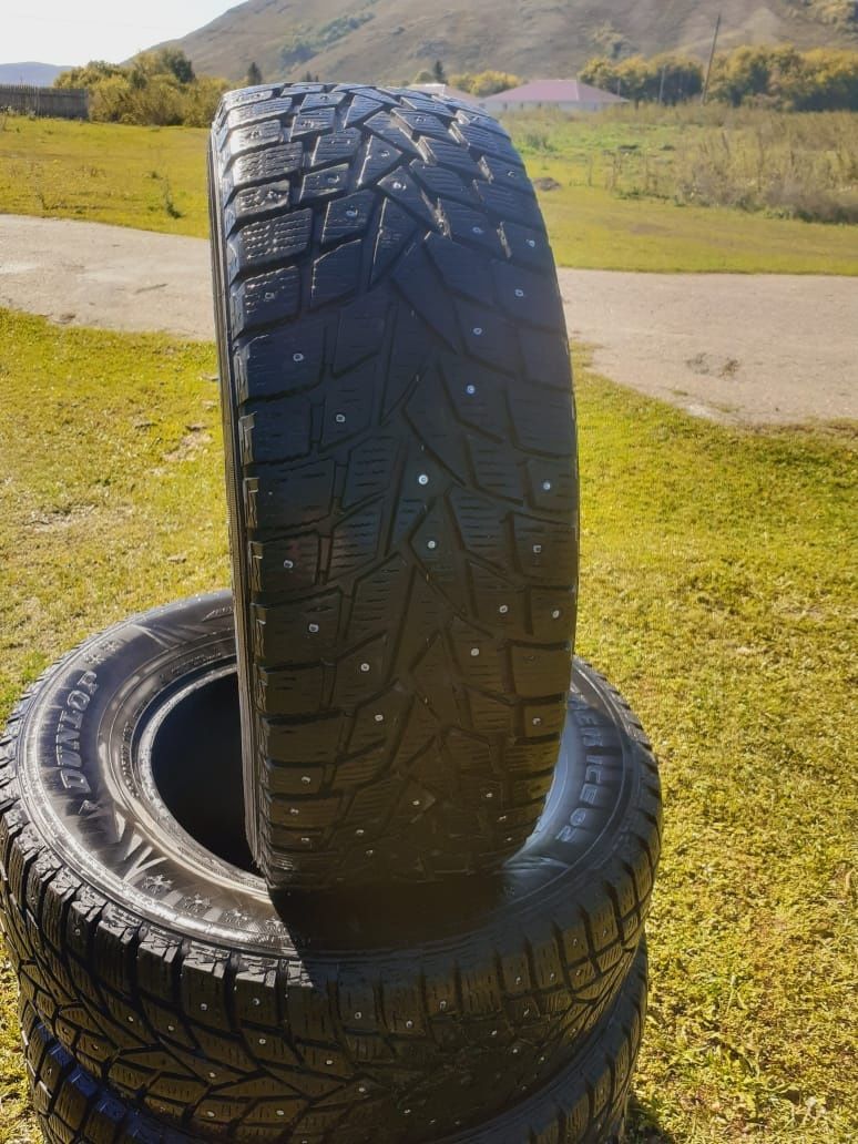 Шины зимние DUNLOP