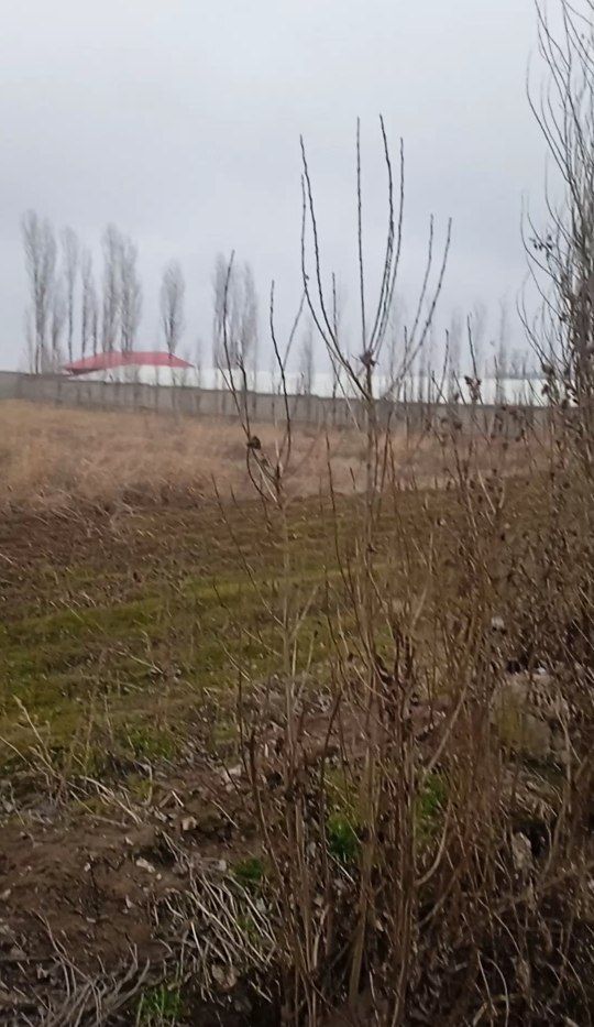 Срочно продается база 1 Га Янгиюль трасса М-39