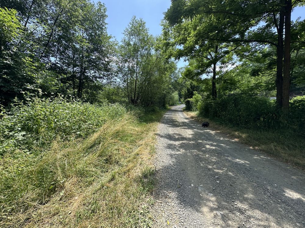Teren intravilan de vanzare Furcsoara