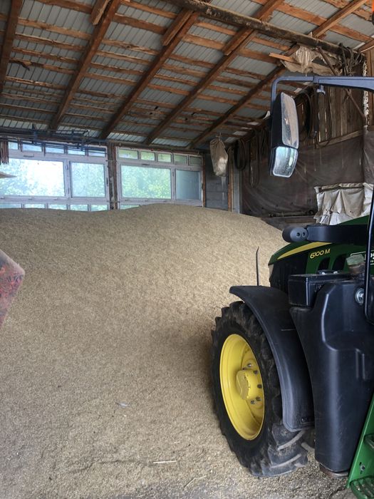 Orz 2025 Sauca curat bun de samanta