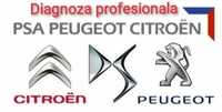 diagnoza auto Peugeot Citroen DS Audi VW Skoda Opel Dacia Renault Ford