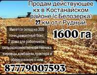 Действующий бизнес