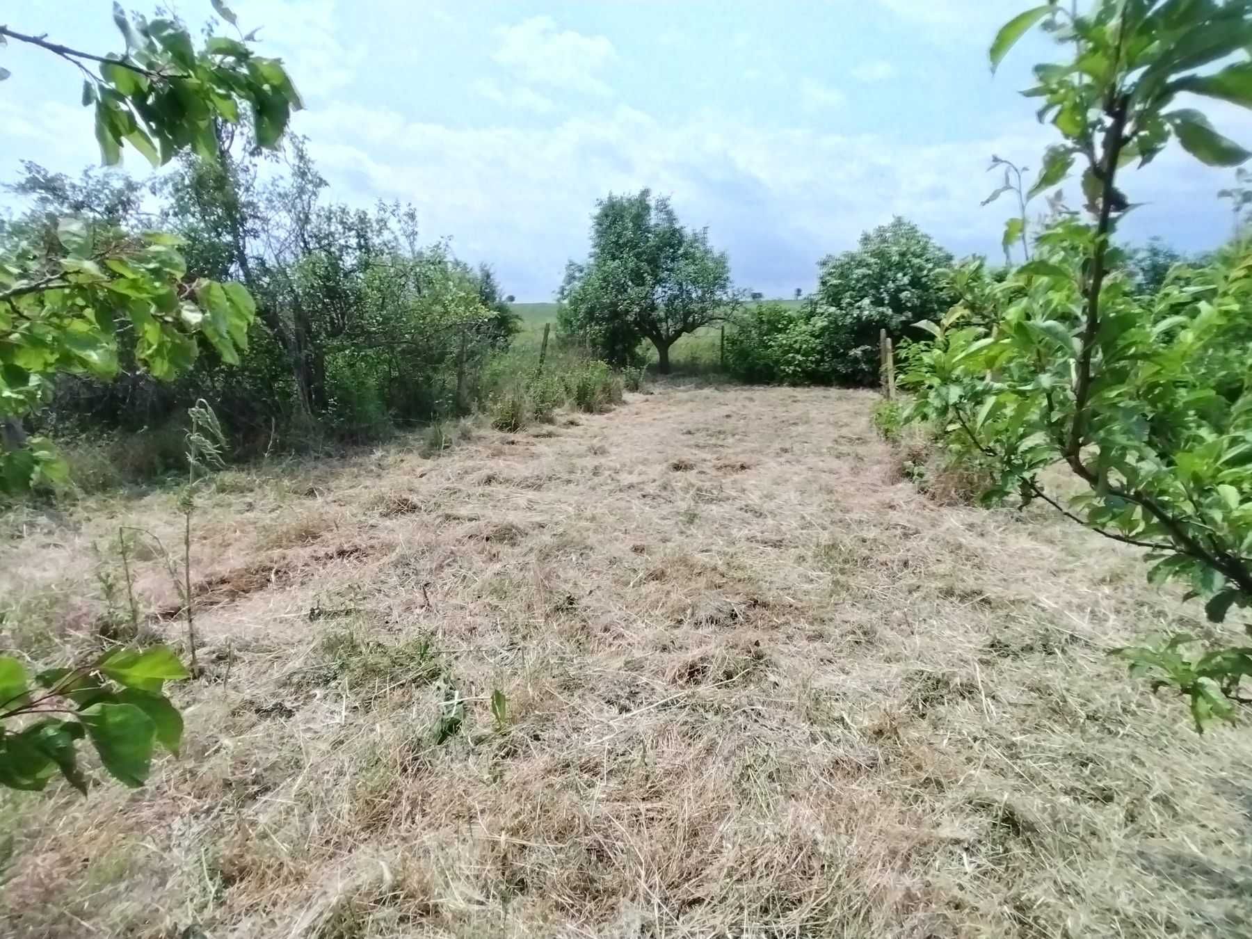 Парцел вилна зона с.Осеново/Аксаковска общ./