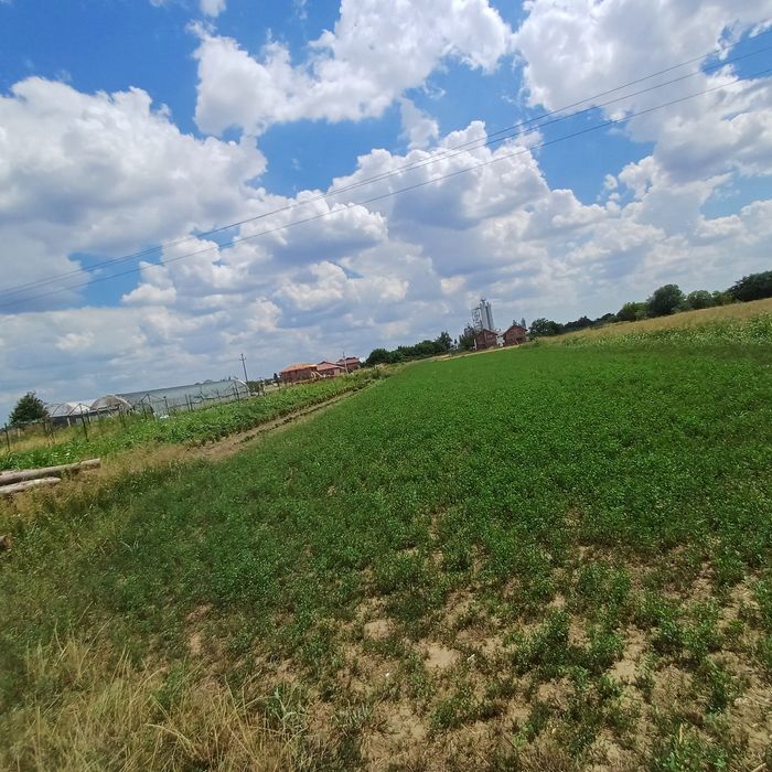 Teren de vanzare negociabil