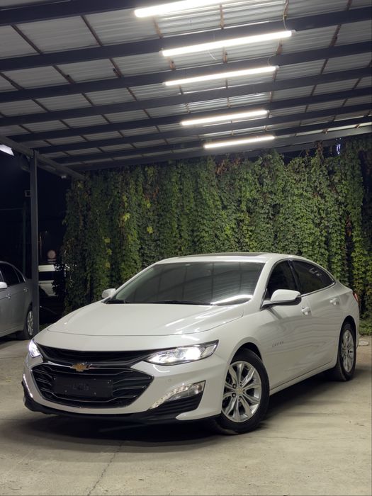 Malibu 2 primer 2022