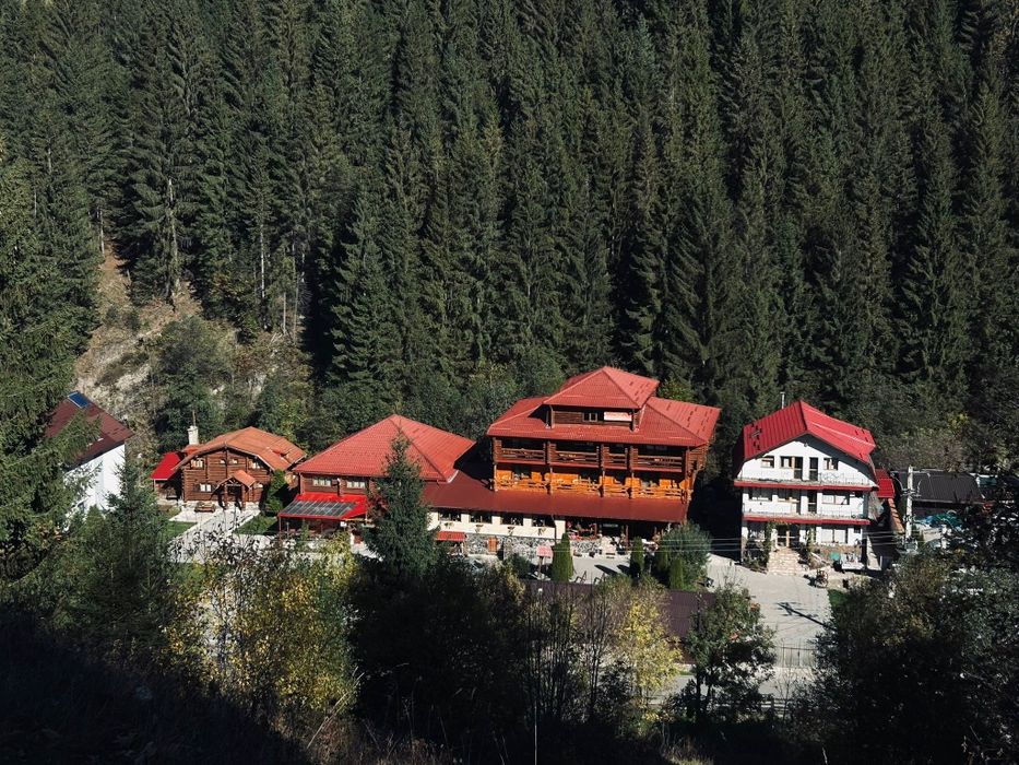 Vânzare  Afacere  Pensiune cu restaurant in Bran _Moieciu Brașov