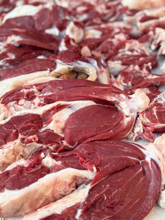 Halol qo’zi qo’chqorlar, qassob, kalla pocha