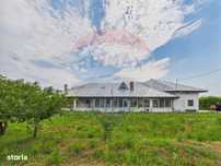 Proprietate speciala Dragomiresti Deal -Teren 15000 mp